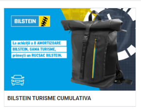 Poza pentru categoria BILSTEIN